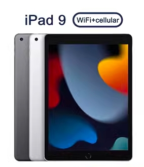 2021新款Apple/苹果 iPad Pro 